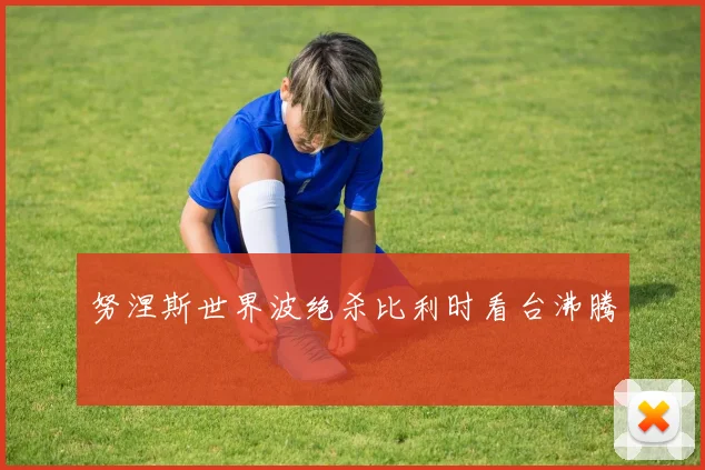努涅斯世界波绝杀比利时看台沸腾