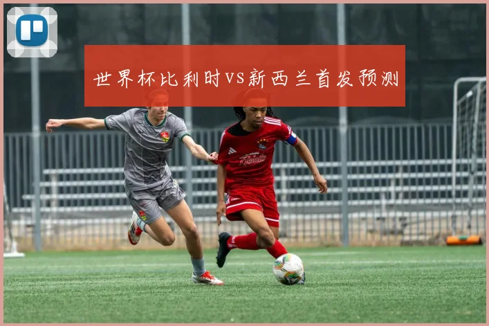 世界杯比利时vs新西兰首发预测