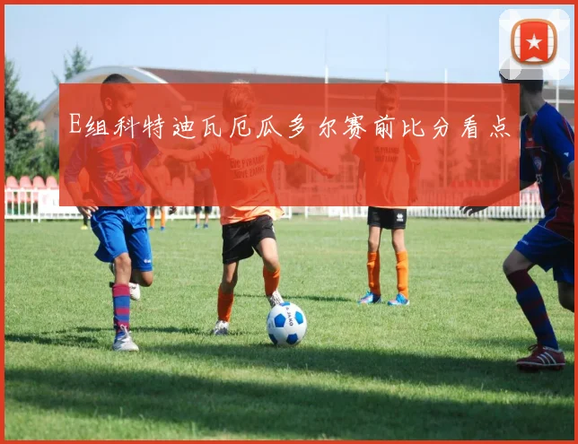E组科特迪瓦厄瓜多尔赛前比分看点